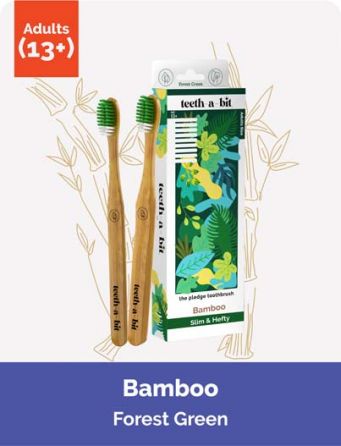 The Pledge Bamboo Forest Green Adult Toothbrush